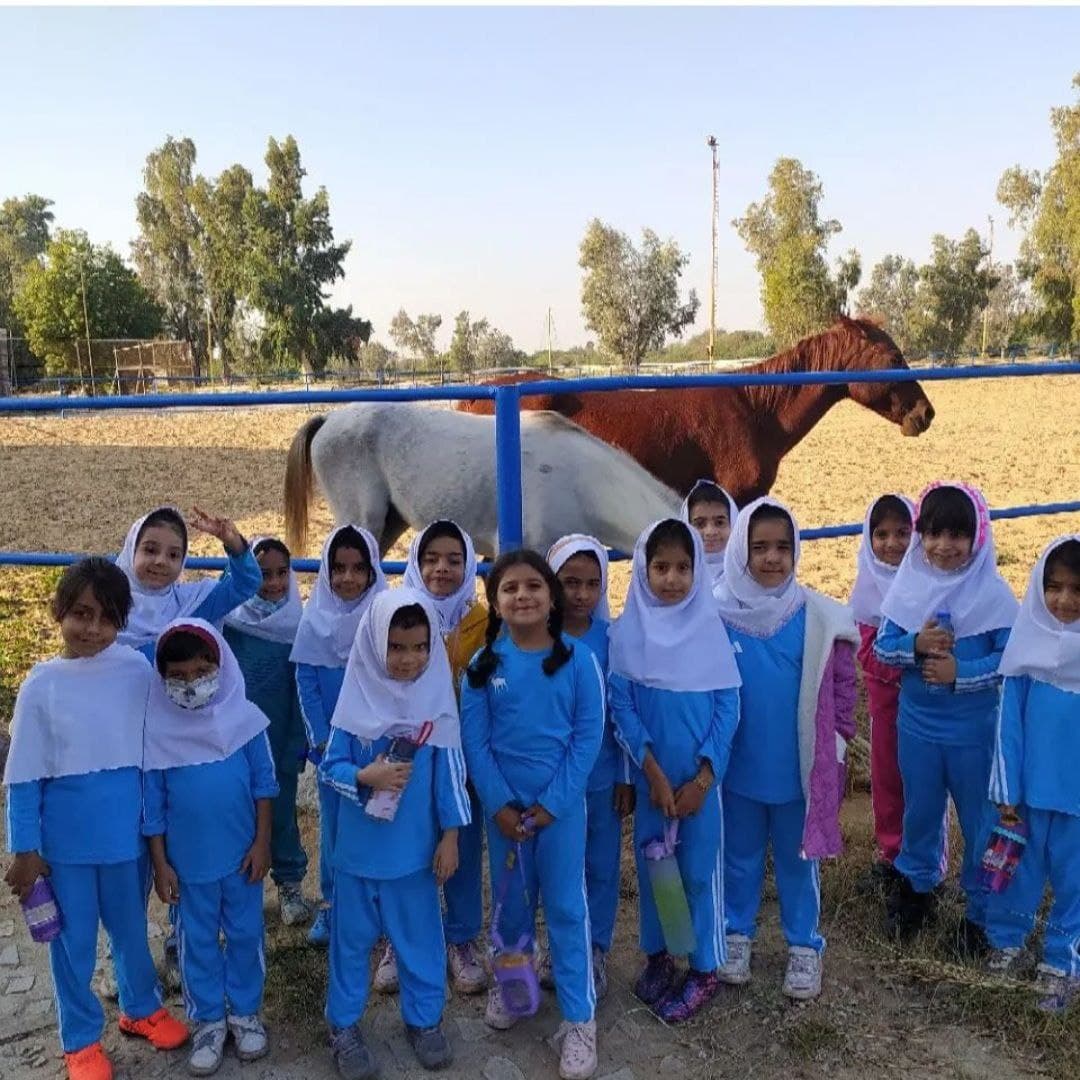 تربیت بدنی
