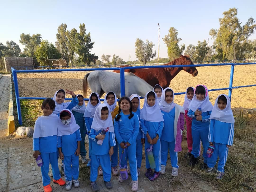 آموزش سوارکاری